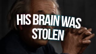 how einstein's brain went missing