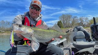 Shallow Trolling Multiplier- Catch More Walleyes!