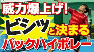 【テニス】これさえできれば「バックハイボレー」が決まる！｜打ち方のコツ｜加藤季温【ロードtoゼンニホン】