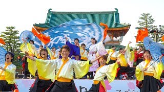 [4K]神戸大学よさこいチーム山美鼓　京都さくらよさこい2017 神宮道１日目（中央）