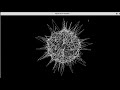 Turtle Python drawing | Turtle Python graphics Create Vibrate Circle using Python turtle in pycharm