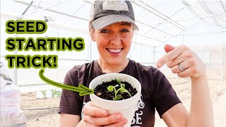 The Trick to Knowing WHEN to Start Your Seeds (& why I'm starting mine EXTRA early)