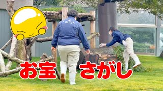 パンダたちのお宝探し🐼✨ 飼育員さんVSパンダの知恵比べ！