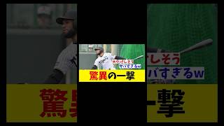 阪神　育成外国人が驚異の一撃！！！【野球情報】【2ch 5ch】【なんJ なんG反応】【野球スレ】