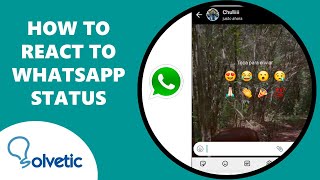 🔥 How to REACT to WhatsApp STATUS 🔥