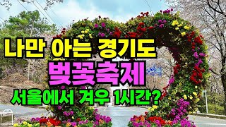 봄나들이ㅣ올해 마지막 벚꽃 여행은 벚꽃축제로 마무리ㅣ당일치기 국내여행은 여주지ㅣ걸으면서 힐링하는 그 곳