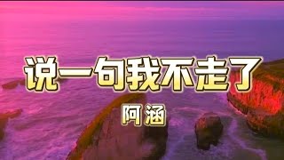 说一句我不走了 - 阿涵（抖音热门歌曲）「 还清楚最后吻你的时候 没有以往的感受难过念头 停不住眼泪去挽留 把我耍完就走 怎么相信当初的你是那么温柔」  【动态歌词】