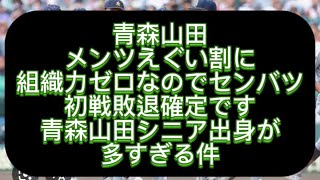 【高校野球】青森山田メンバー20人中9人が青森山田シニアです流石にパイプが強すぎる件センバツ甲子園出場校を辛口評論してみた#野球 #高校野球 #甲子園