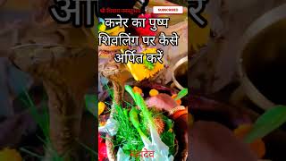 कनेर का पुष्प शिवलिंग पर कैसे अर्पित करें #pandit_pradeep_ji_mishra #mahadev #viral #trending #shiv