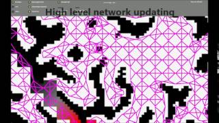 path vs flow field