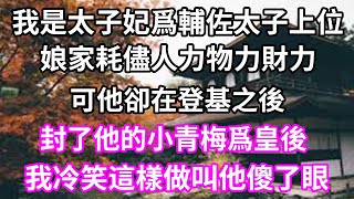 我是太子妃爲輔佐太子上位，娘家耗儘人力物力財力，可他卻在登基之後，封了他的小青梅爲皇後，我冷笑這樣做叫他傻了眼