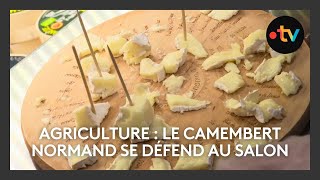 Salon de l'agriculture 2025 : le camembert normand se défend au salon