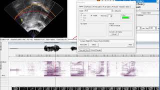 AAA219 Batch tutorial 1 Creating a fan spline template for use in tracking