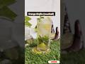 Orange Mojito | Summer Drinks | Mojito at home | Mocktail | Best drink for summer