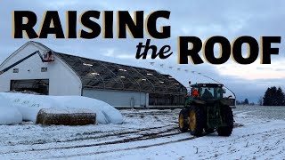 So thankful. (RAISING THE SHEEP BARN ROOF): Vlog 185