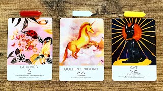 ✨THE NEXT 24H!✨ WHAT WILL HAPPEN?! 🐞🌠☀️ | Pick a Card Reading