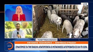 Συναγερμός για την πανώλη: Απαγορεύονται οι μετακινήσεις αιγοπροβάτων σε όλη τη χώρα | OPEN TV