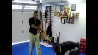 Bujinkan Butoku Dojo training # 104