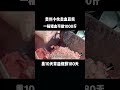 贵州小伙卖血豆腐，一桶猪血可做1000斤，熏10天常温保鲜180天！