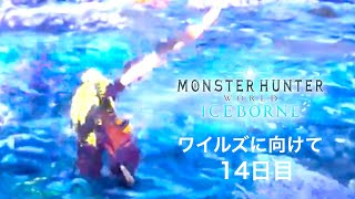 ワイルズに向けてのワールド修行#14【MHWIB】