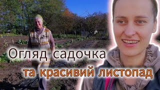 ВЛОГ, садок замість города