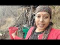 🏞️ पहाड़ी गांव का जीवन 🌲 rural village life of himachal pradesh @priyankayogitiwari