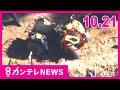 【10/21のニュース】「バギー」コース外れ転落　女性死亡｜卵価格高騰　北海道で過去一早い「鳥インフル」発生｜ポーランドで避難生活送るウクライナの学生 姫路城訪問｜衆院選2024〈カンテレNEWS〉