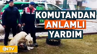 Jandarma Komutanından Yürekleri Isıtan İyilik | NTV