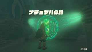 ナチョヤハの祠 戻る力「モドレコ」【ゼルダの伝説 ティアーズ オブ ザ キングダム】