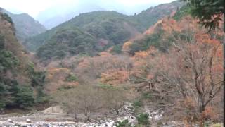 宮妻峡　紅葉　四日市市　三重県