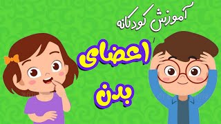 آموزش کودکانه اعضای بدن به فارسی - Body parts for kids in persian/farsi