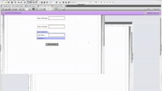 Livecycle Designer - Complex Validations