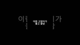 킹받는 요즘 유튜브;;