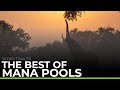 THE BEST OF MANA POOLS | Safari trailer
