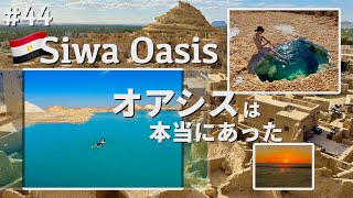 オアシスって実在したんだ〜シワオアシス観光〜【世界一周#44】エジプト🇪🇬vlog