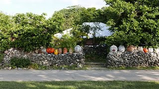 ［旅気分］海界の村を歩く 東シナ海 鳩間島（沖縄県）