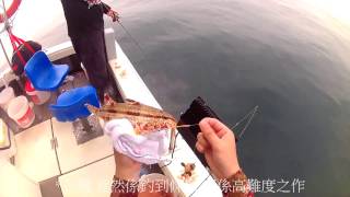 香港船釣 Hong Kong Boat fishing '近期大熱門沙立'