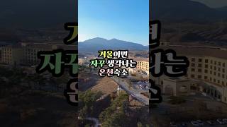 겨울 온천 여행은 여기