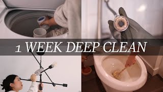 🧼 deep clean my entire home w/ me (in 1 week)