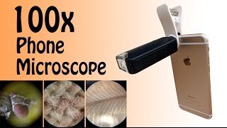 Phone Microscope! 100x magnifying lens review