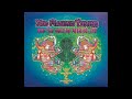 Acid Mothers Temple / Either The Fragmented Body Or The Reconstituted Soul