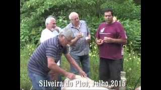 Tradicional Matança do porco, Silveira do Pico 2015