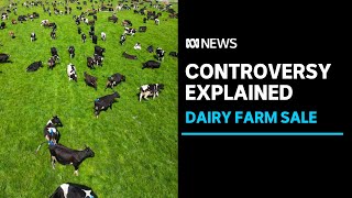 Chinese company selling off iconic Tasmanian dairy farm | ABC News