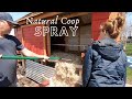 Natural Chicken Coop Spray: Time to Spring Clean!