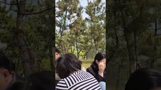 [로이교회] 23.04.30 주일오후예배 (야외 Outdoor Worship Svcs) *Central Park