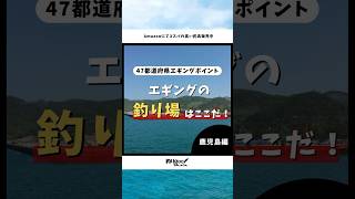 こんなところで！？？エギングの釣れる釣り場(鹿児島県編！)#shorts #釣りgoo#エギング #エギ