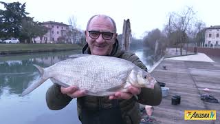 MONDO PESCA - A PESCA COL TEO - IL SILE DELLE MERAVIGLIE - PIGHI GARDON BREME A BOLOGNESE  #fishing