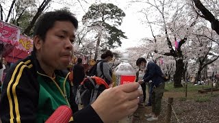 大宮公園 に花見へ、そして弁当を食らう ぼっちシリーズ