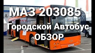 Часть 1. Автобус городской. Размеры. Обзор. Маз 203085, М3 (I - класса), низкопольный.