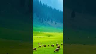 Nuristan-Afghanistan 🇦🇫